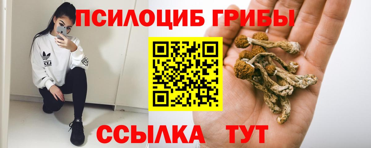 Псилоцибиновые грибы мухоморы  Галлюциногенные грибы прущие грибы  Оренбург  Вход с VPN 
